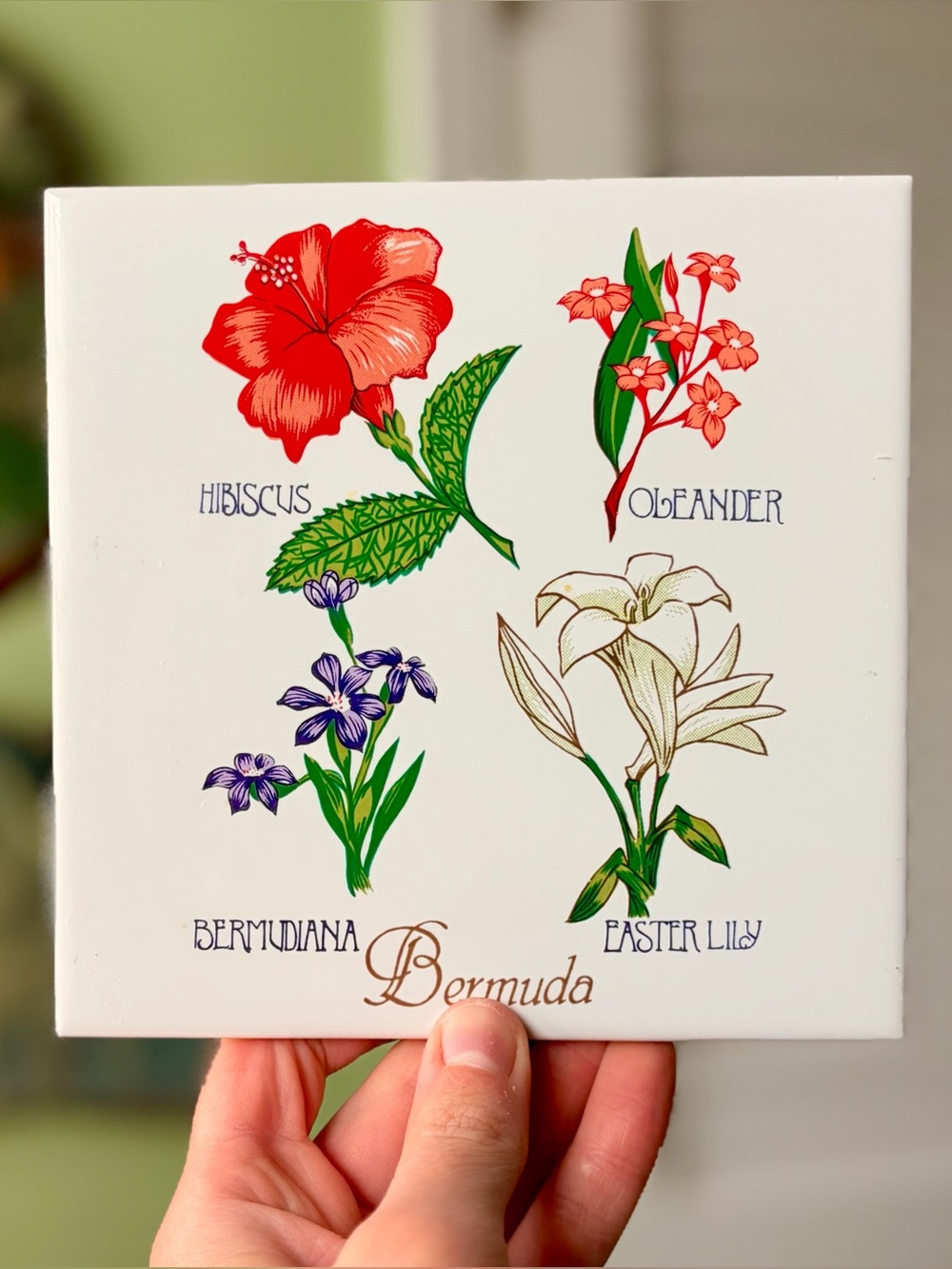 Botanical Floral Trivet Tile - Bermuda Flowers (White)